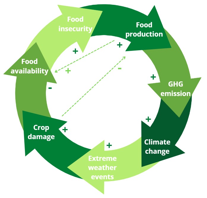 Foodback Loop: Developing Sustainable Food Systems for a Circular